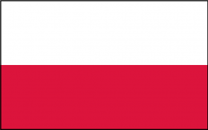 Our Poland Skinny Tie is modeled after the flag of Poland