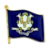 Connecticut Pin