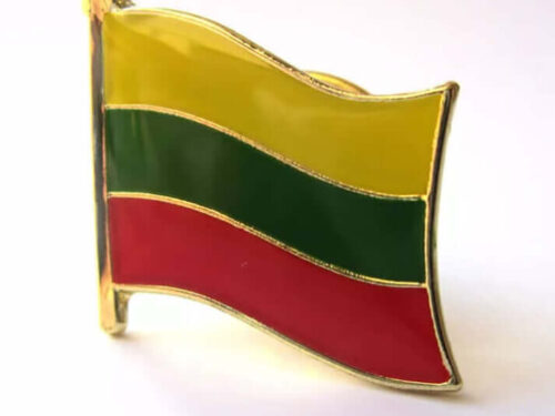 Lithuania Pin