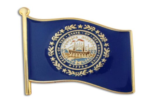 New Hampshire Pin