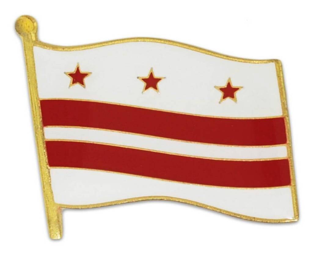 Washington DC Pin