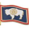 Wyoming Pin