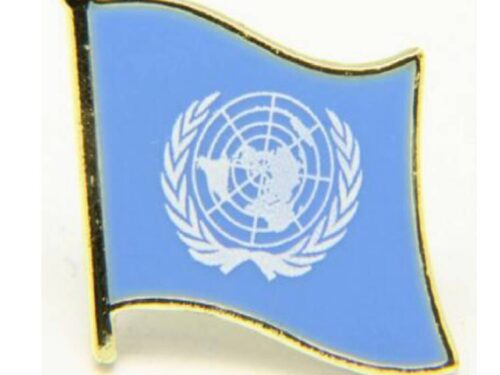 United Nations Pin